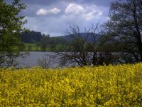fruehling56 hammerweiher bei wiesenfelden